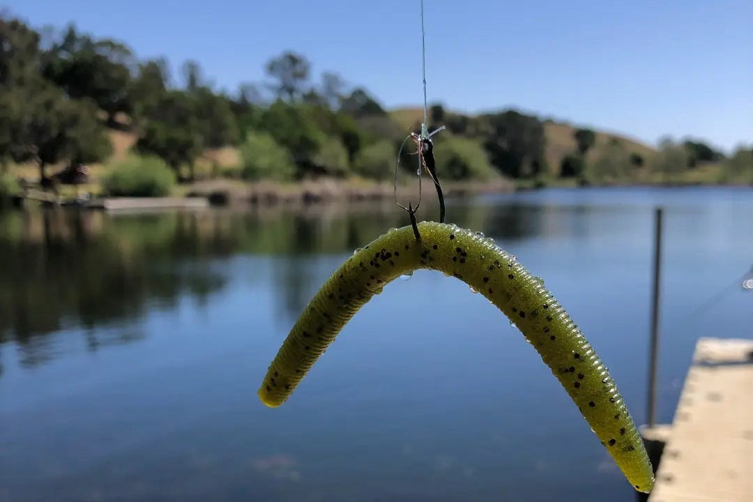Fishing lure hanging over a lake with Wacky Worms Custom Soft Baits logo at the bottom.